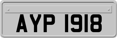 AYP1918