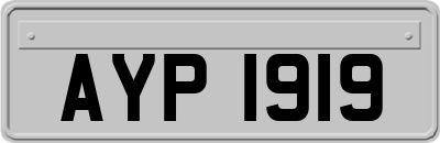 AYP1919