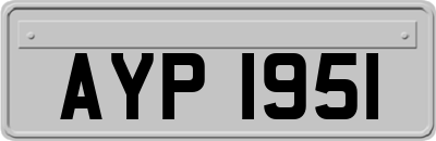 AYP1951
