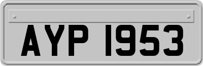 AYP1953