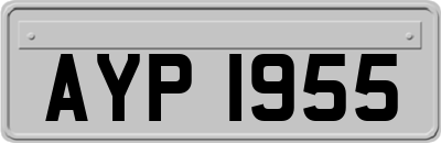 AYP1955