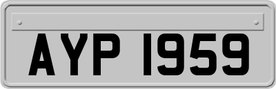 AYP1959