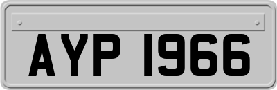 AYP1966