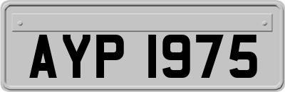 AYP1975