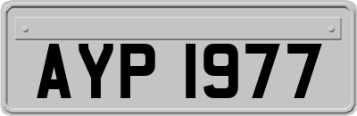 AYP1977