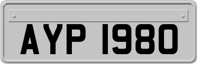 AYP1980