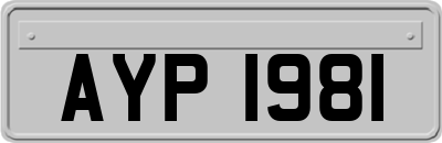 AYP1981