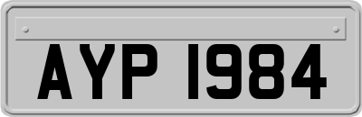 AYP1984
