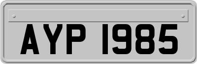 AYP1985