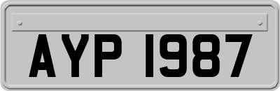 AYP1987