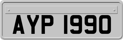 AYP1990