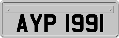 AYP1991