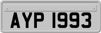 AYP1993