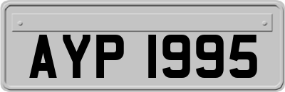 AYP1995