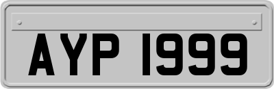 AYP1999