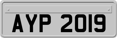 AYP2019