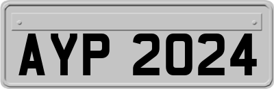 AYP2024