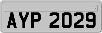 AYP2029