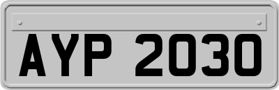 AYP2030
