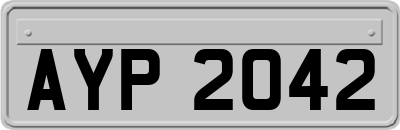 AYP2042