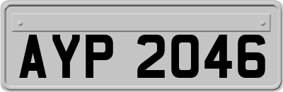 AYP2046