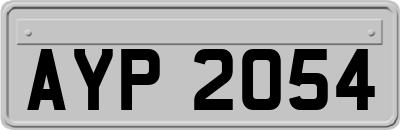 AYP2054