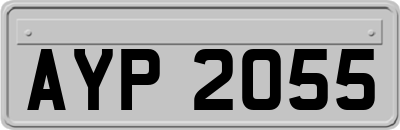 AYP2055