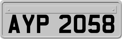 AYP2058