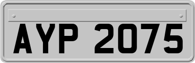 AYP2075