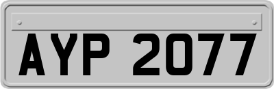 AYP2077