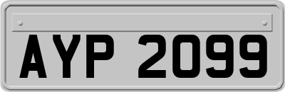 AYP2099