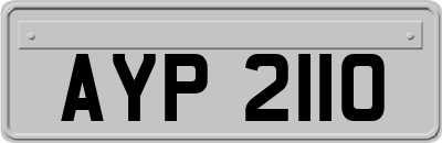 AYP2110