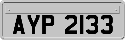 AYP2133