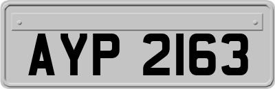 AYP2163