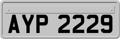 AYP2229