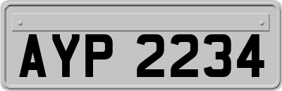AYP2234