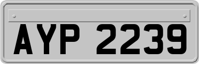 AYP2239