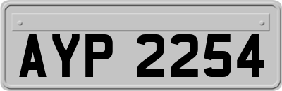 AYP2254