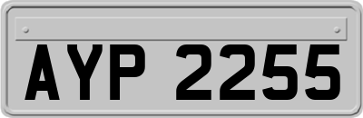 AYP2255