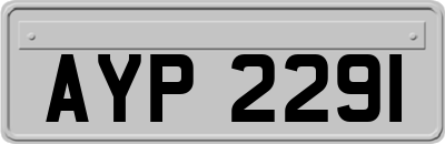 AYP2291