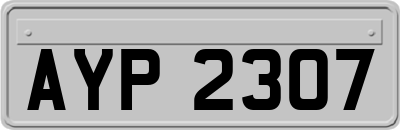 AYP2307