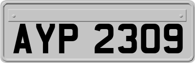 AYP2309