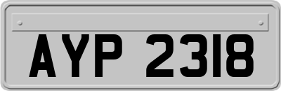 AYP2318