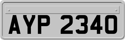 AYP2340