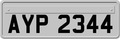 AYP2344