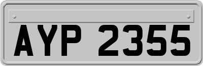 AYP2355
