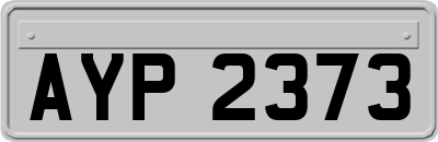 AYP2373