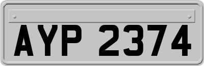 AYP2374