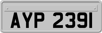AYP2391