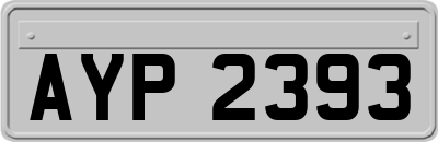 AYP2393